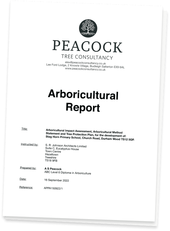 Cover image of a Peacock Tree Consultancy arboricultural report.